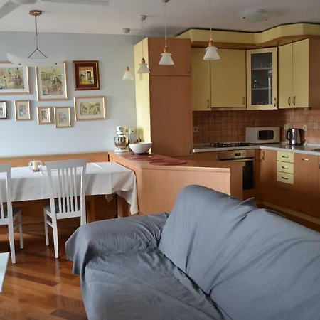 Apartment Ciki *